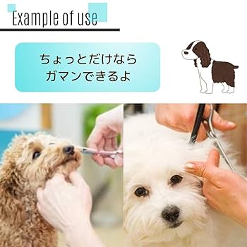 Amazon.co.jp: RICHAIR プロ仕様 ペット用 トリミング ハサミ